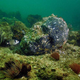 Image for article titled Once-Majestic Cities That Sank Beneath The Ocean